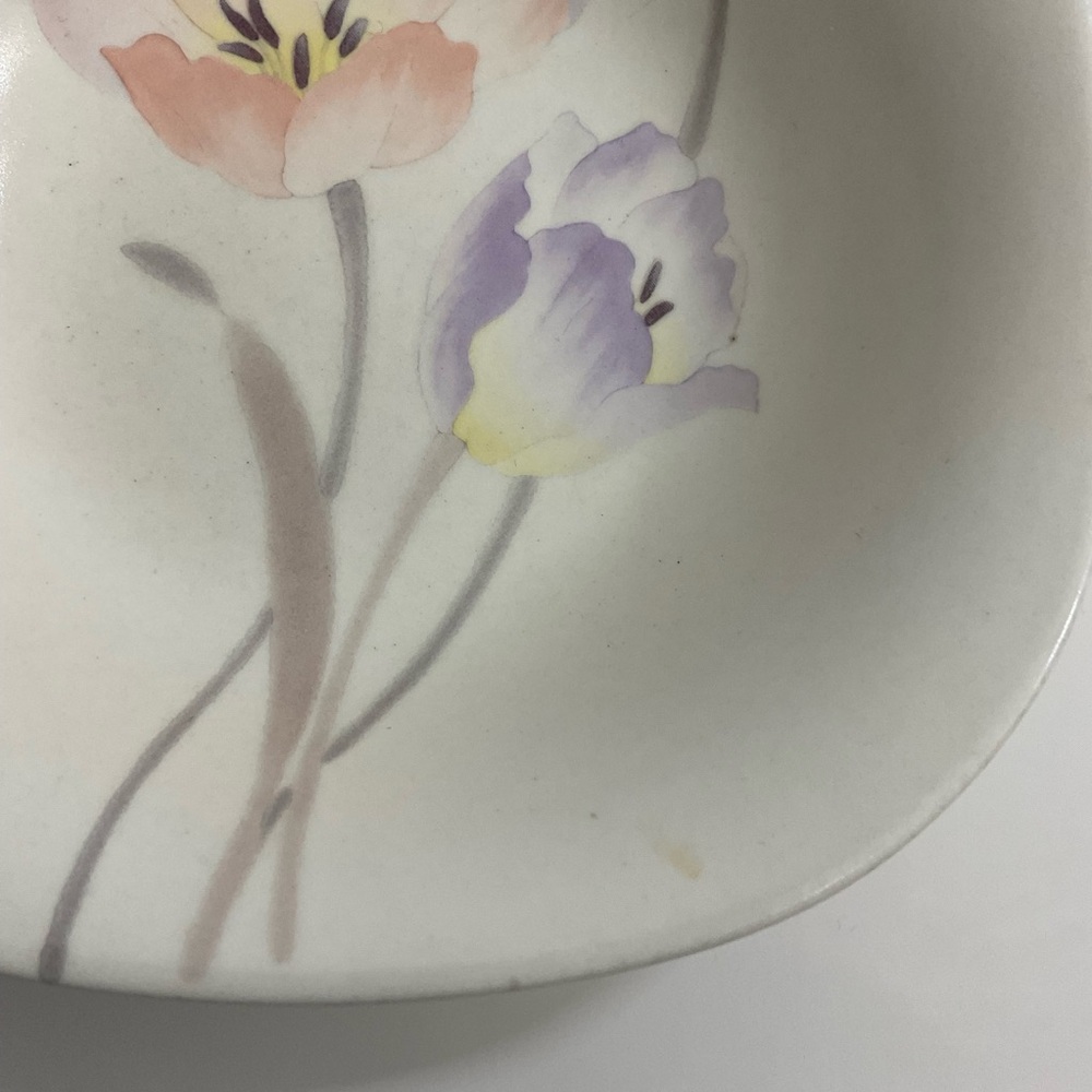 Mikasa Natural Beauty CT077 FootLoose Japan salad/cereal bowl set of 2 - Picture 5 of 6